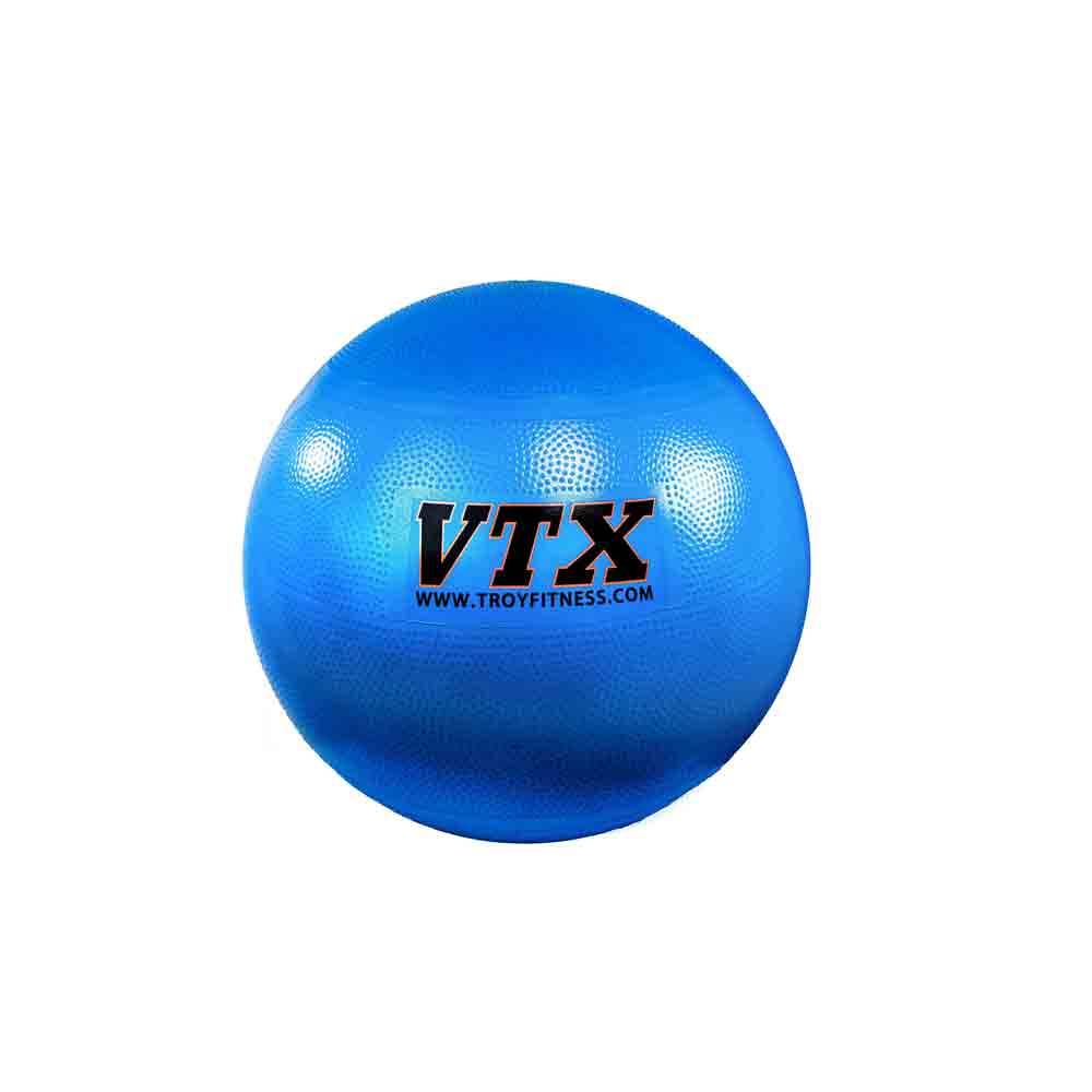 Blue stability ball by VTX
