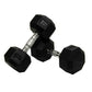 VTX by Troy 5 lb to 75 lb 8 Sided Rubber Encased Dumbbell Set with Rack