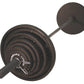 USA Olympic 300lb. Black Iron Weight Set - Gym Gear Direct